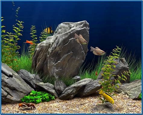 Dream Aquarium Screensaver Serial (Working) [BEST]