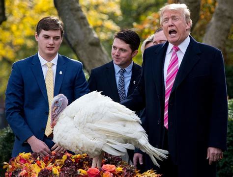 Annual Turkey Pardon Ceremony Held at White House | Malibu, CA Patch