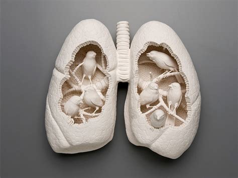 Kate MacDowell « Inhabitat – Green Design, Innovation, Architecture ...