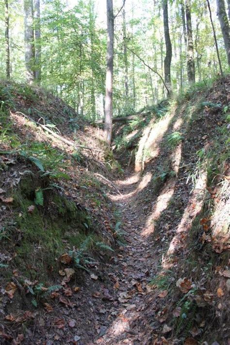 Mistletoe State Park Mountain Bike Trail in Thomson, Georgia - Directions, Maps, Photos, and Reviews