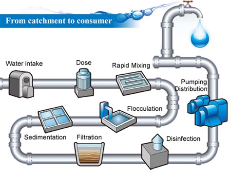 Do Chemical Water Purification Methods Really Work? | Survival Life