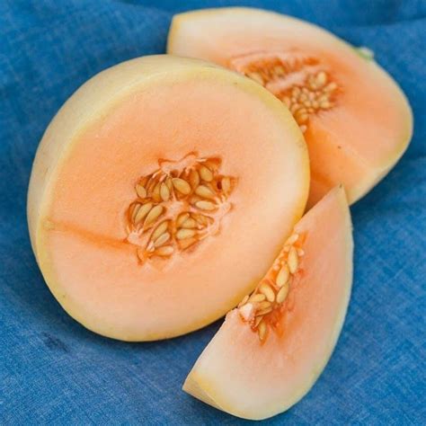 Honey Dew Melon Seeds Orange | Etsy