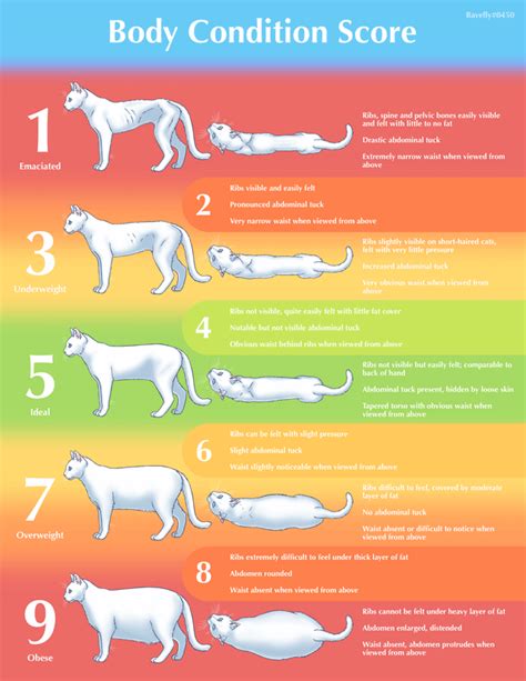 I made a body condition score chart to help judge your cat's weight ...