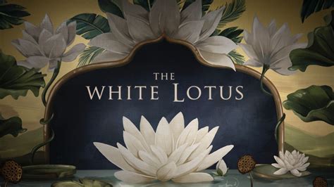 80+ White Lotus Wallpaper Hd Images - MyWeb