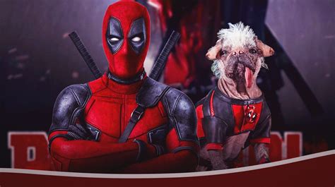 Deadpool 3 gets funny 'Dogpool' update from Ryan Reynolds