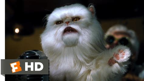 Cats & Dogs (8/10) Movie CLIP - Mr. Tinkles Fires Everyone (2001) HD ...