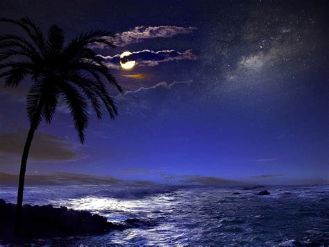 Beach Moon Wallpaper - WallpaperSafari