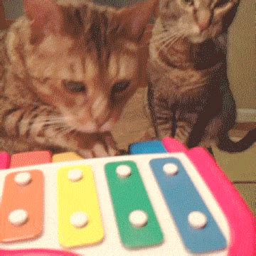 Xylophone Players on Make a GIF