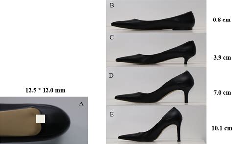 Influences of heel height on human postural stability and functional mobility between ...