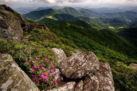 Geology and Wildlife of the Appalachian Mountains