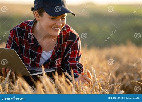 Woman Farmer Working with Laptop on Wheat Field. Stock Photo - Image of ...