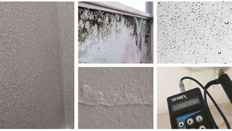 Moisture Resistant Plasterboard - Waste Of Money?