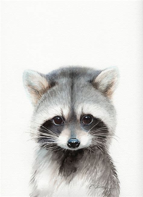 Cute Baby Raccoon Drawing