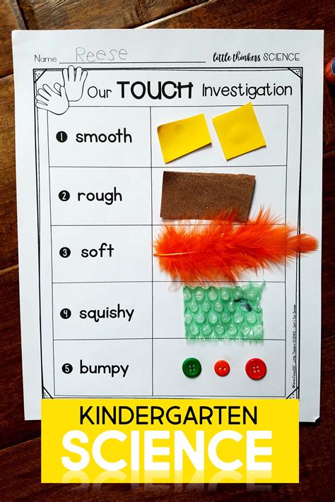 Kindergarten Science | Kindergarten science curriculum, Preschool ...