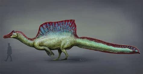 Dinosaur diaries: Spinosaurus, sauropod necks and a new 'starry lizard ...