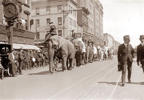 A circus parade in New York in the early 1900's. | Vintage circus, Old circus, Photo