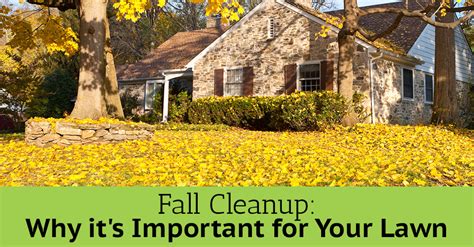 Fall Cleanup In Charlotte - Why It's Important For Your Lawn