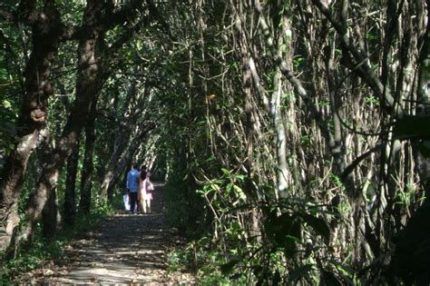 Kerala Tourist: Kumarakom Boating, Bird Sanctuary at Kottayam