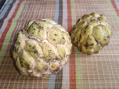 How To Eat Atis - Recipes.net