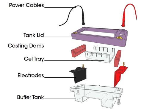 Horizontal Gel Electrophoresis Apparatus Diagram