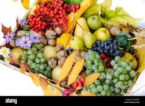 group of colorful autumn fruits in a basket Stock Photo - Alamy