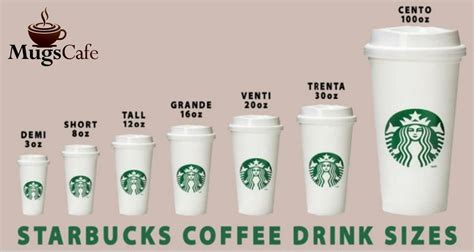 Trenta Starbucks Drinks - Find Out Here!