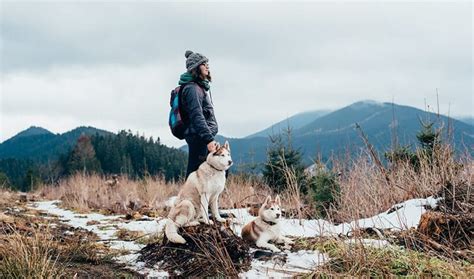 Top 24 Best Dog Breeds For Hiking 2022 - My Trail Co