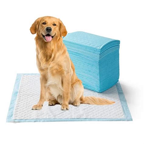 Dog Potty Training Pads 60 X 45 CM (20 pcs) at Rs 300/pack | डॉग पैड in ...