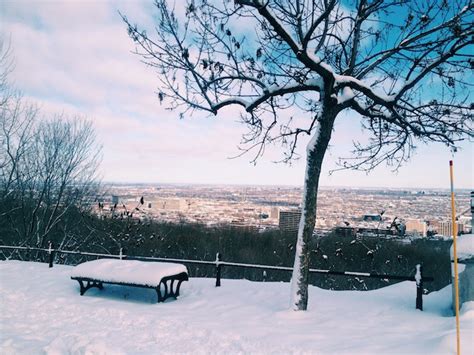 Postcard from Mount Royal Park l Montreal, Quebec | C'est Christine