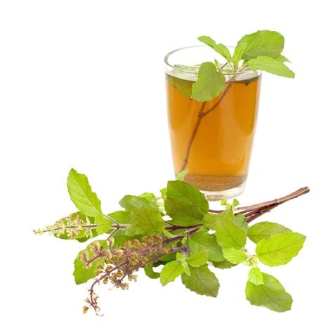 Organic Tulsi Holy Basil Herbal Full Leaf Tea (Caffeine Free) | Tulsi tea, Herbalism, Remedies