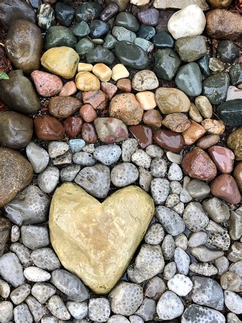 Rock Collecting in 2021 | Rock collection, Petoskey stone, Heart shaped ...