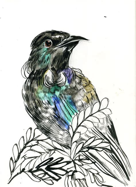 MC drawn: Tui, bird — sketch: watercolour, ink and brush