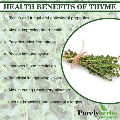 Thyme Herb Benefits