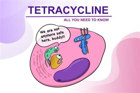 Tetracycline Antibiotics: Uses, mechanism of action, side-effects - Medinaz