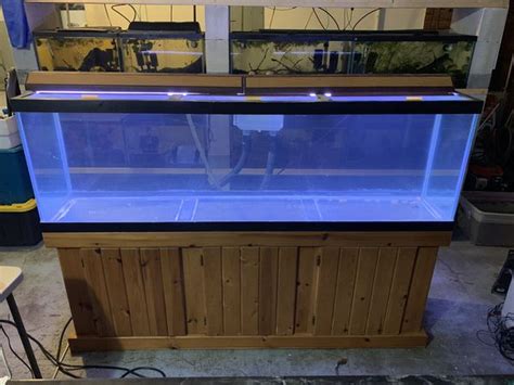 LOADED 125 Gallon Fish Tank Aquarium with stand, sump, lights, glass ...