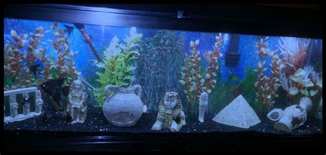 Photo #1 - My 50 Gallon Fresh Water Tank.