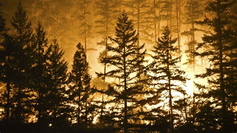 Wildfires Pollute Air More Than Previously Thought. Are Prescribed ...