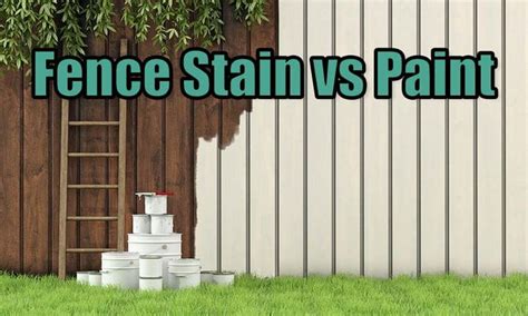 Fence Stain vs Paint (Pros and Cons & Design Guide) | Fence stain, Staining wood fence, Fence ...