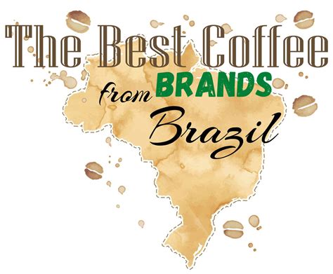 6 Best Brazilian Coffee Brands