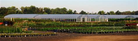 Northern California Wholesale Nursery | Wholesale Supplier of Quality Trees, Shrubs, Grasses and ...