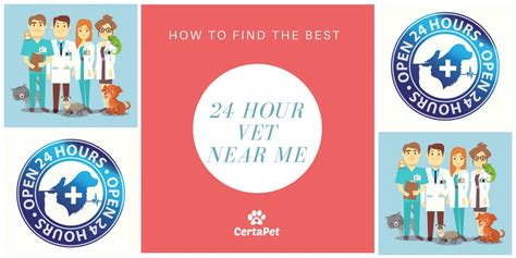 How To Find the Best 24 Hour Vet Near Me | CertaPet