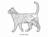 Best Free Animal Mandala Coloring Pages  PDFs To Download sketch template