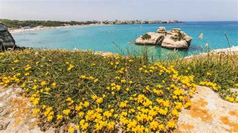 Lecce: Private Beaches of Salento Day Trip - Lecce, Italy | GetYourGuide