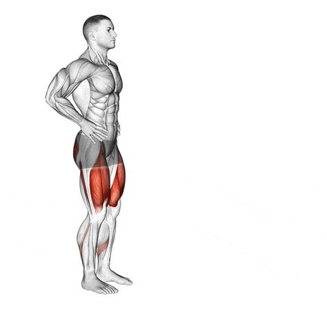 Forward Lunges - How To Do Properly & Muscles Worked