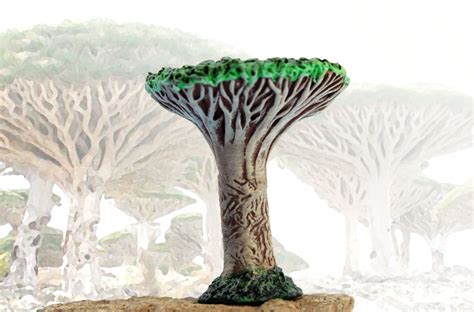 Socotra dragon tree by hontor on DeviantArt