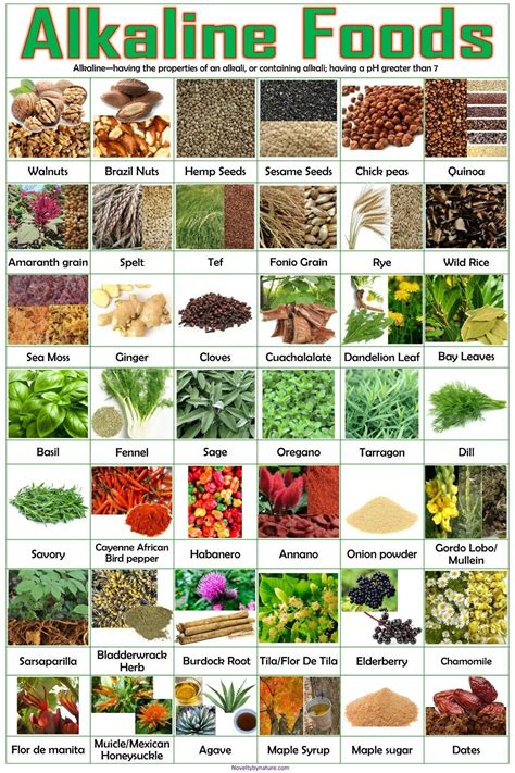 Alkaline Foods poster, Alkaline vegetables, Alkaline Fruits, Dr Sebi food list | eBay