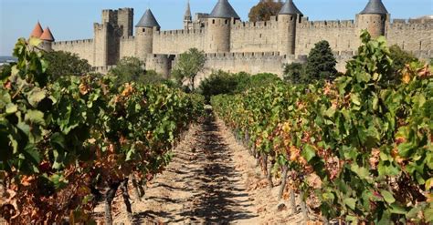 Your 2024 guide to Languedoc-Roussillon wine region | Winetourism.com