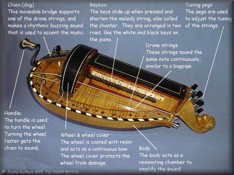 Deep Art Nature: Hurdy gurdy