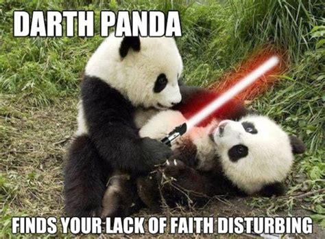 75 Mad Panda Memes - Funny Pictures – DesiComments.com