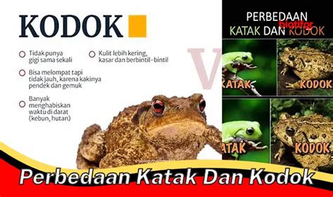 Perbedaan Spesifik Katak dan Kodok: Panduan Lengkap - Biotifor